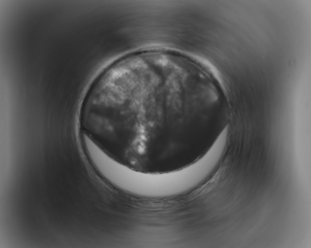 X0000094941279200712271605