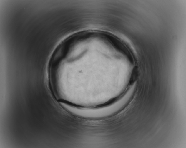 X0000094941280200712271605