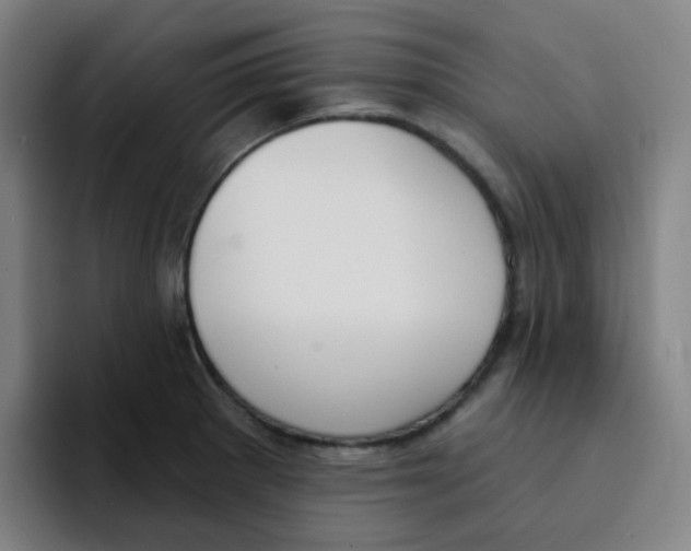 X0000094941281200712271605