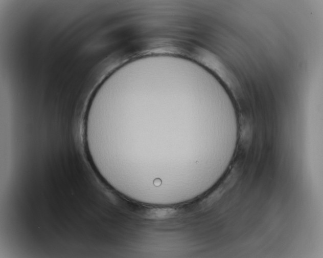 X0000094941282200712271605