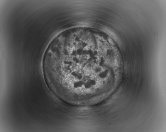 X0000094941283200712271605
