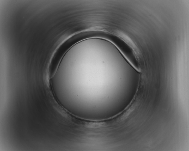 X0000094941284200712271605