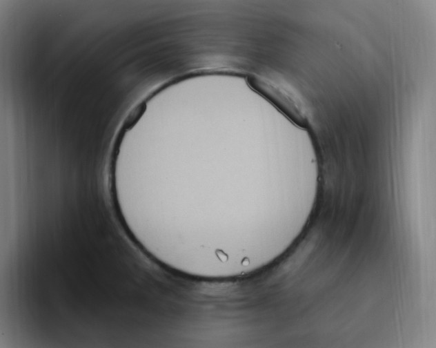 X0000094941285200712271605