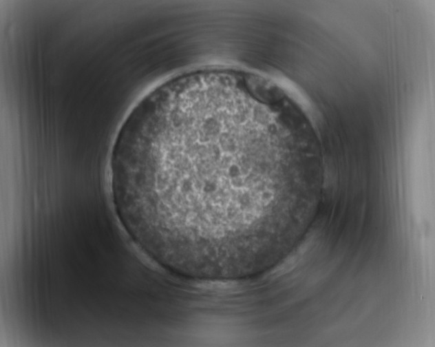 X0000094941287200712271605