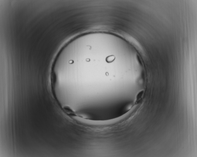 X0000094941288200712271605