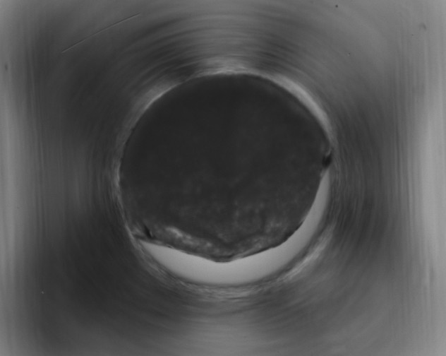 X0000094941289200712271605