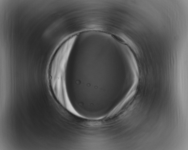 X0000094941291200712271605