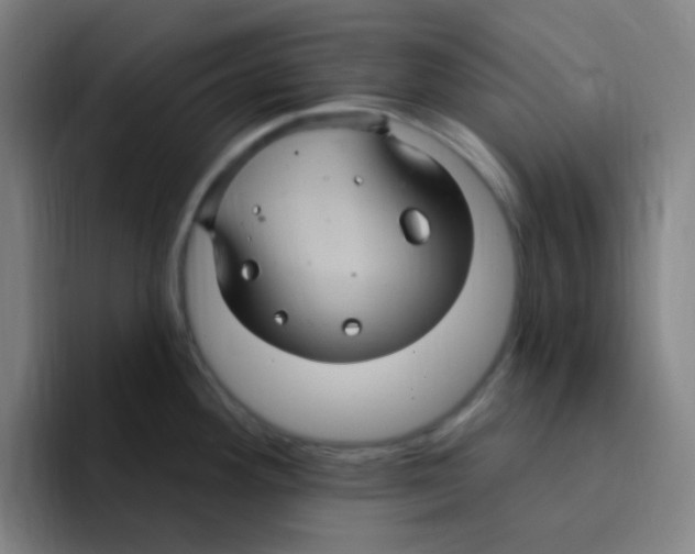 X0000094941292200712271605