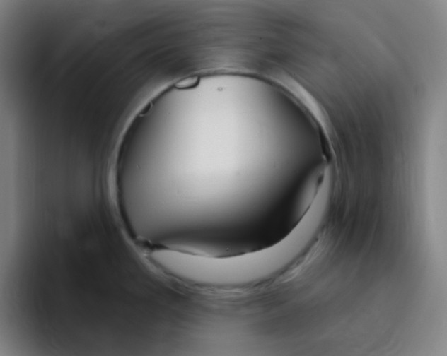 X0000094941293200712271605