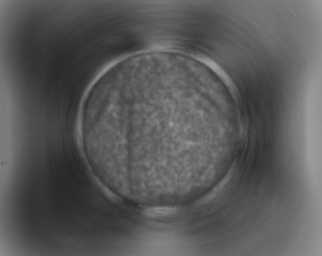 X0000094941294200712271605