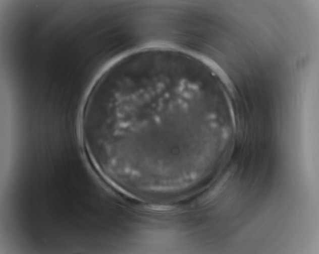 X0000094941295200712271605