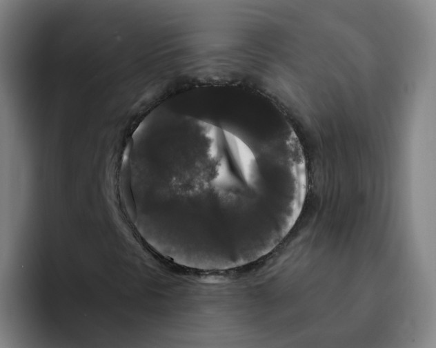X0000094941297200712271604
