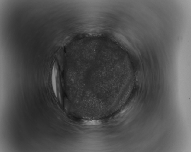 X0000094941298200712271604