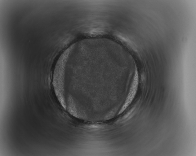 X0000094941300200712271604