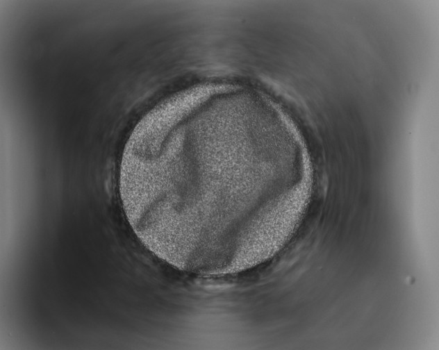 X0000094941301200712271604