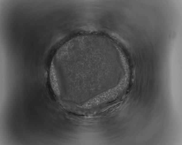 X0000094941302200712271604