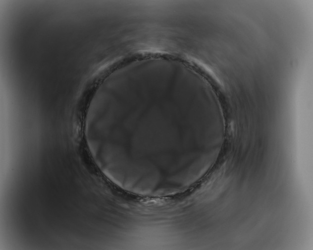 X0000094941303200712271605