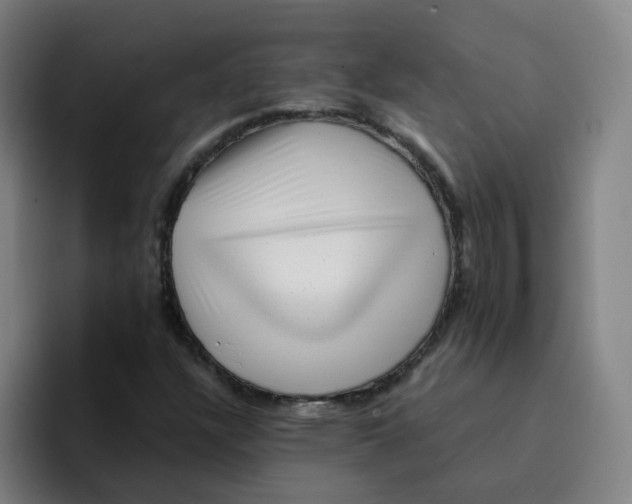 X0000094941304200712271605