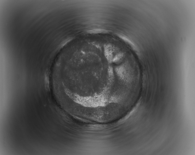 X0000094941305200712271605