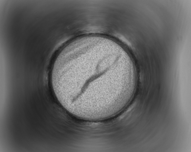 X0000094941309200712271605