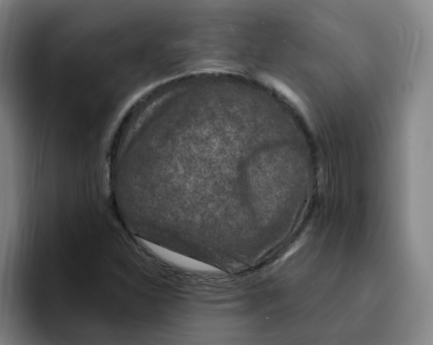 X0000094941310200712271605