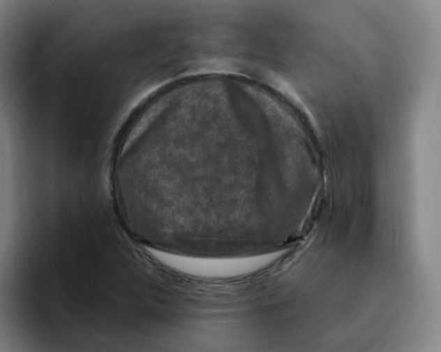 X0000094941312200712271605