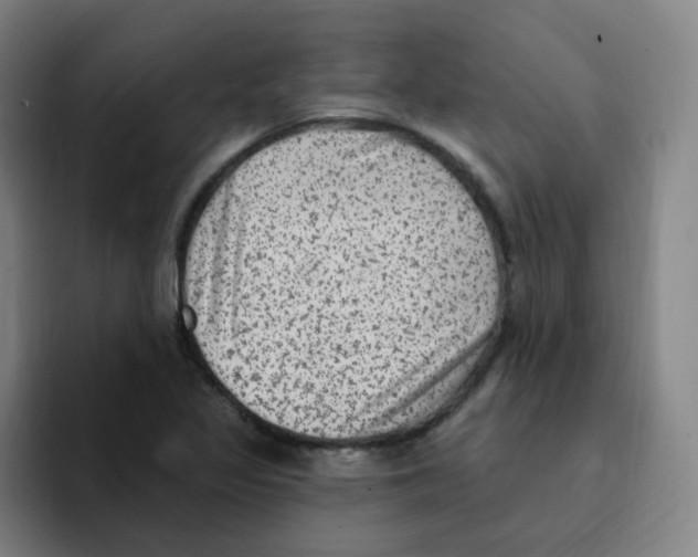 X0000094941317200712271605