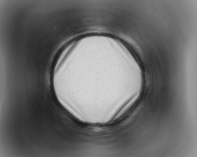 X0000094941318200712271605