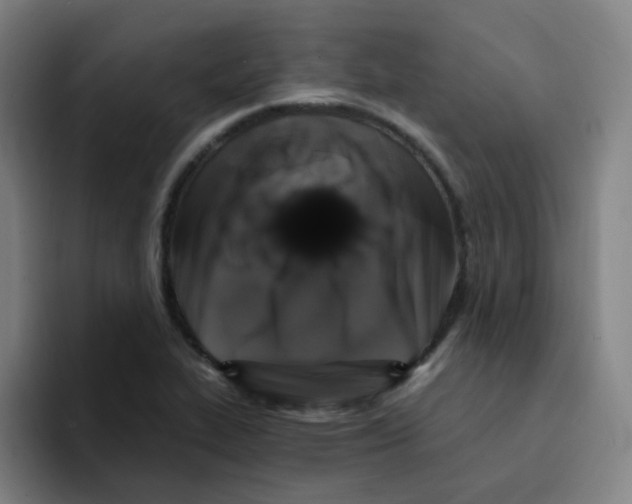 X0000094941319200712271605
