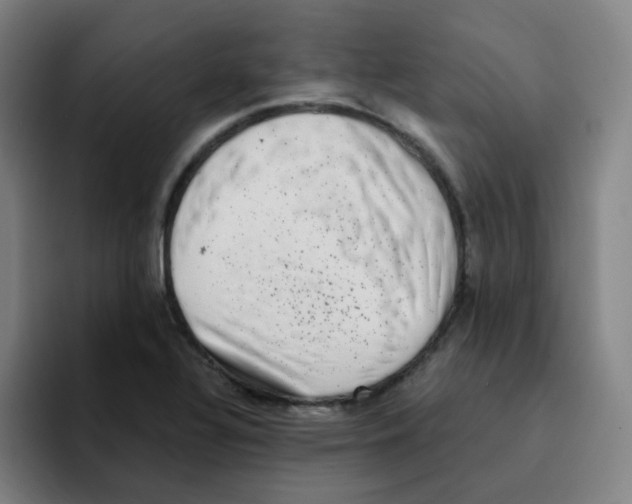 X0000094941320200712271605