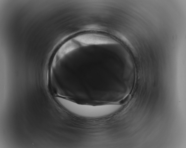 X0000094941323200712271605