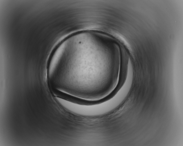 X0000094941324200712271605