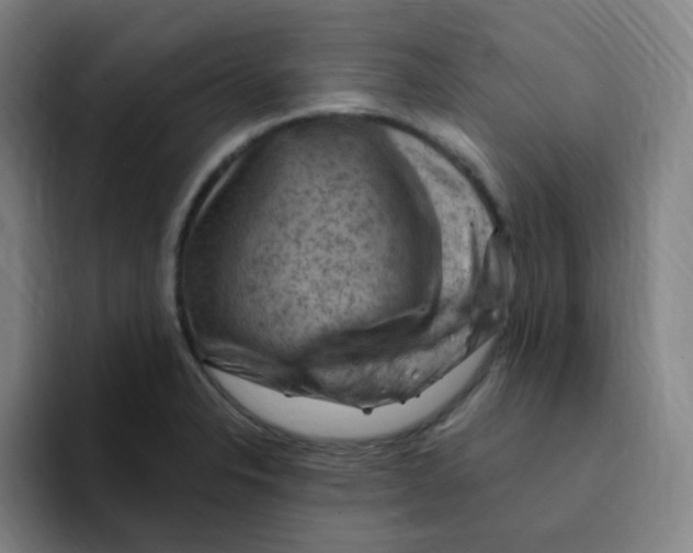 X0000094941326200712271605