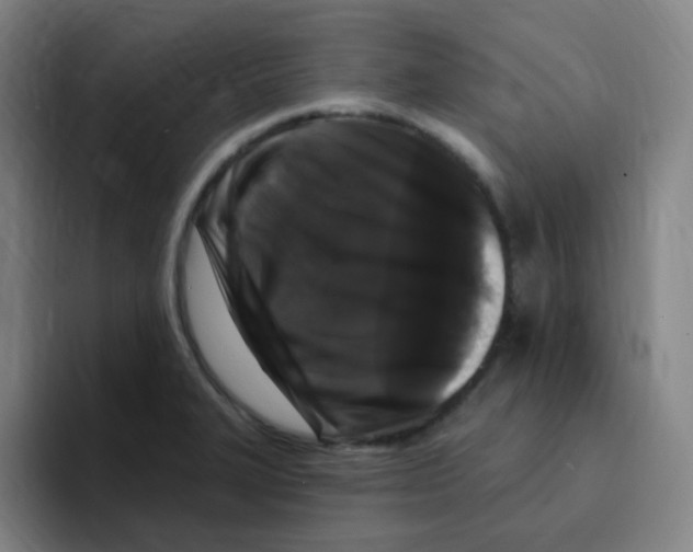 X0000094941327200712271605