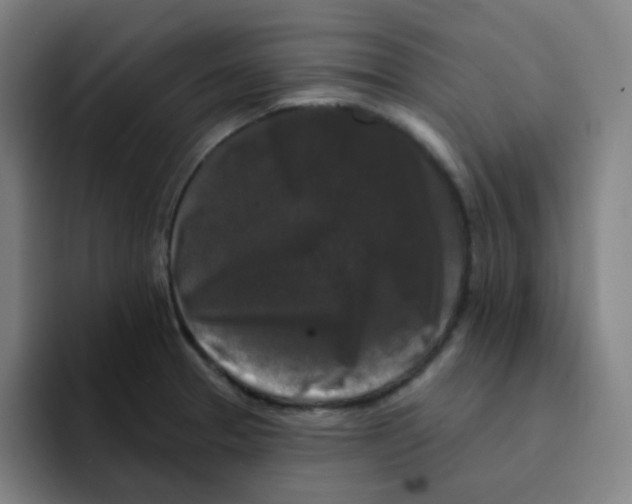 X0000094941329200712271605