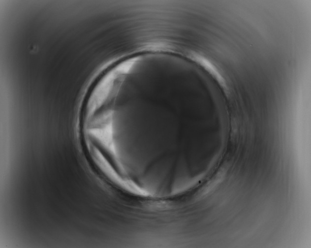 X0000094941331200712271605