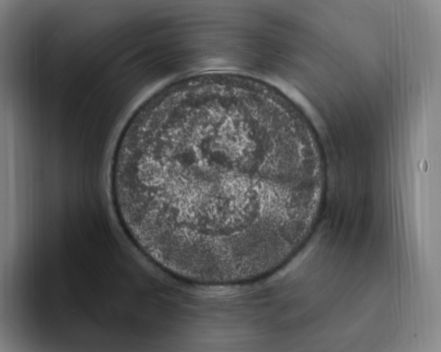 X0000094941333200712271605