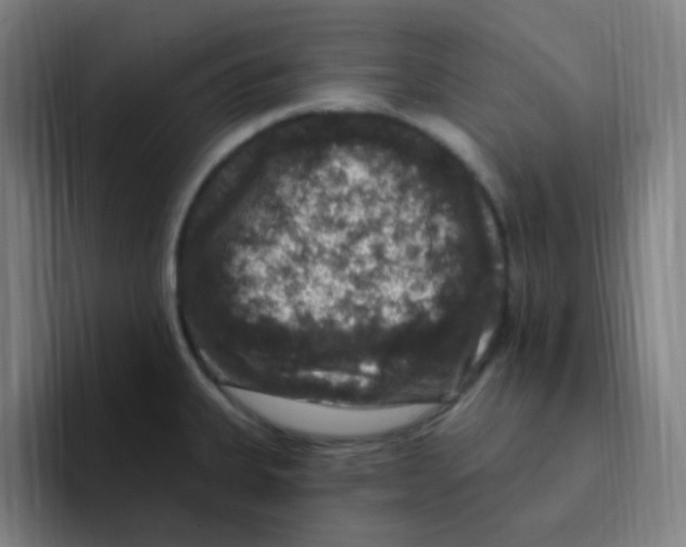 X0000094941335200712271605