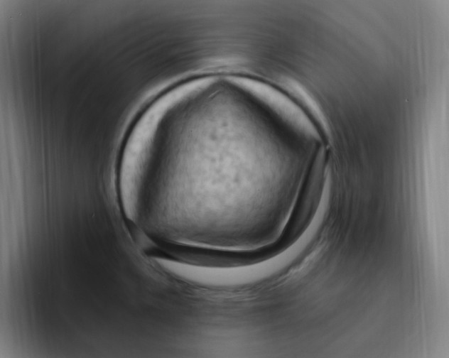 X0000094941336200712271605