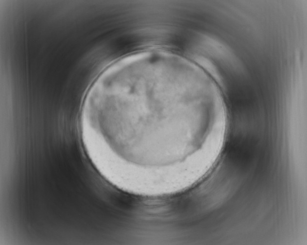 X0000094941338200712271605