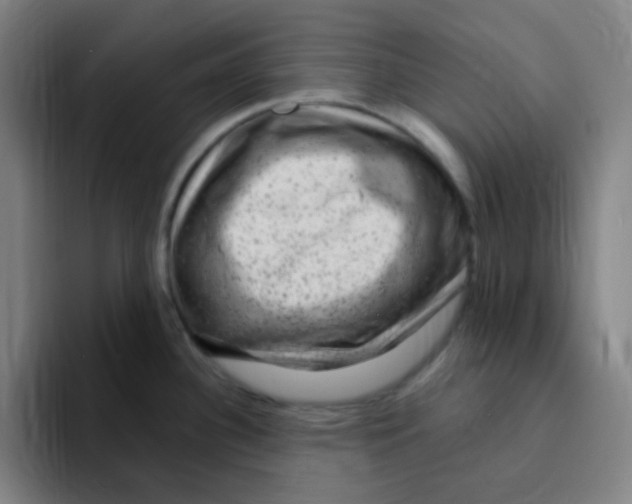X0000094941340200712271605