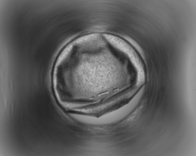 X0000094941341200712271605