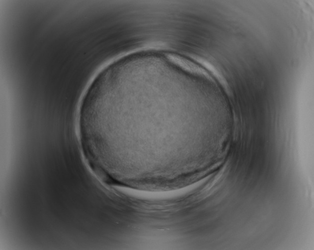 X0000094941342200712271605