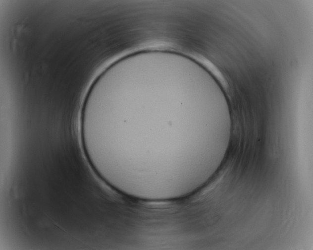 X0000094941343200712271605