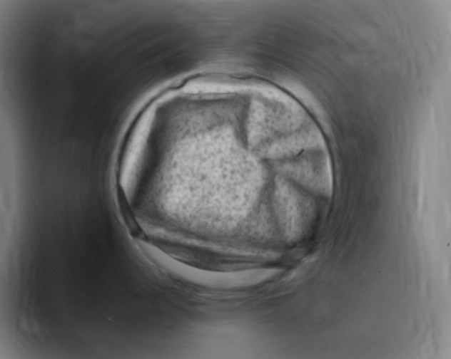 X0000094941344200712271605