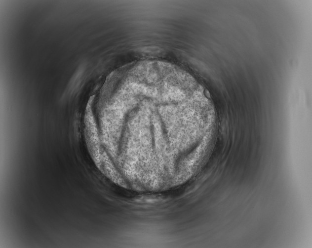 X0000094941346200712271604