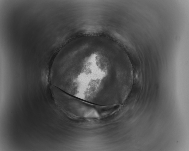 X0000094941348200712271604