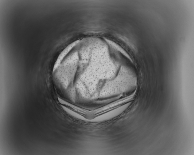 X0000094941350200712271604