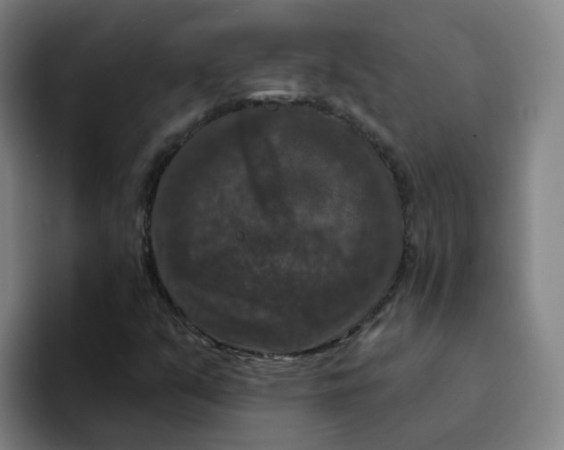 X0000094941351200712271604
