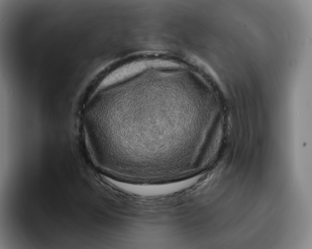 X0000094941352200712271604